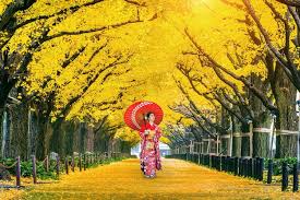 Yellow Spring Road Japan: History, Meaning, and Cultural Significance yellow spring road japan